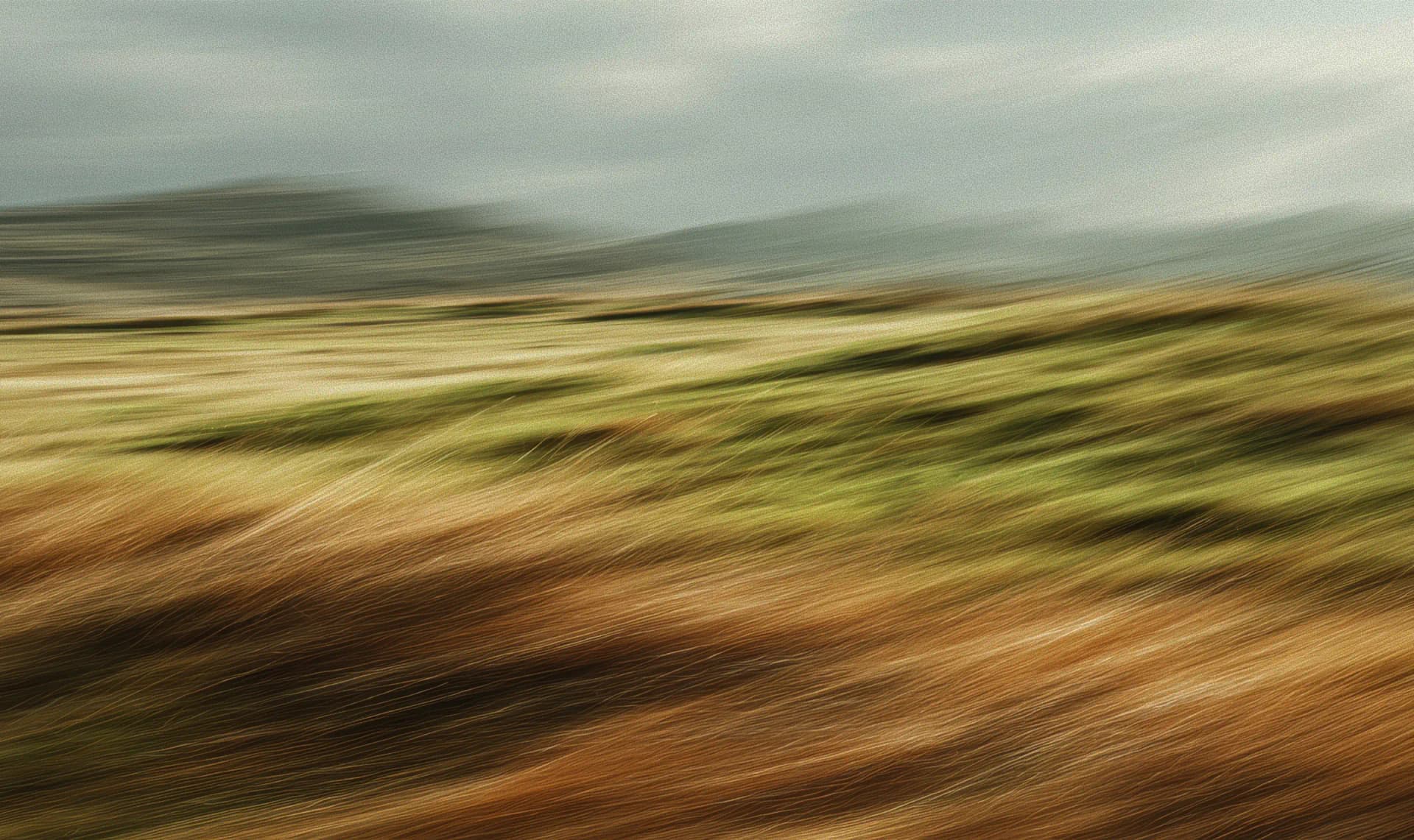 SWFI case study - moved from requirement to live system faster without building separate workflows for coding, testing, and deployment